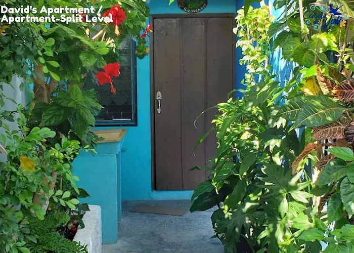 Casa De Yoli Cozumel